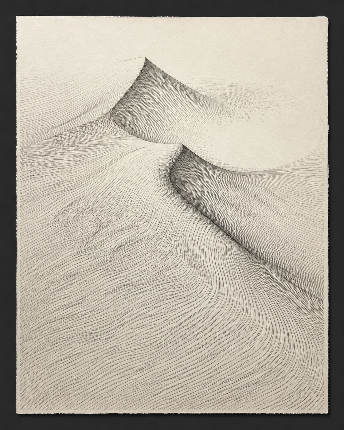 沙丘拓扑流线 / Dune Topology Line Field