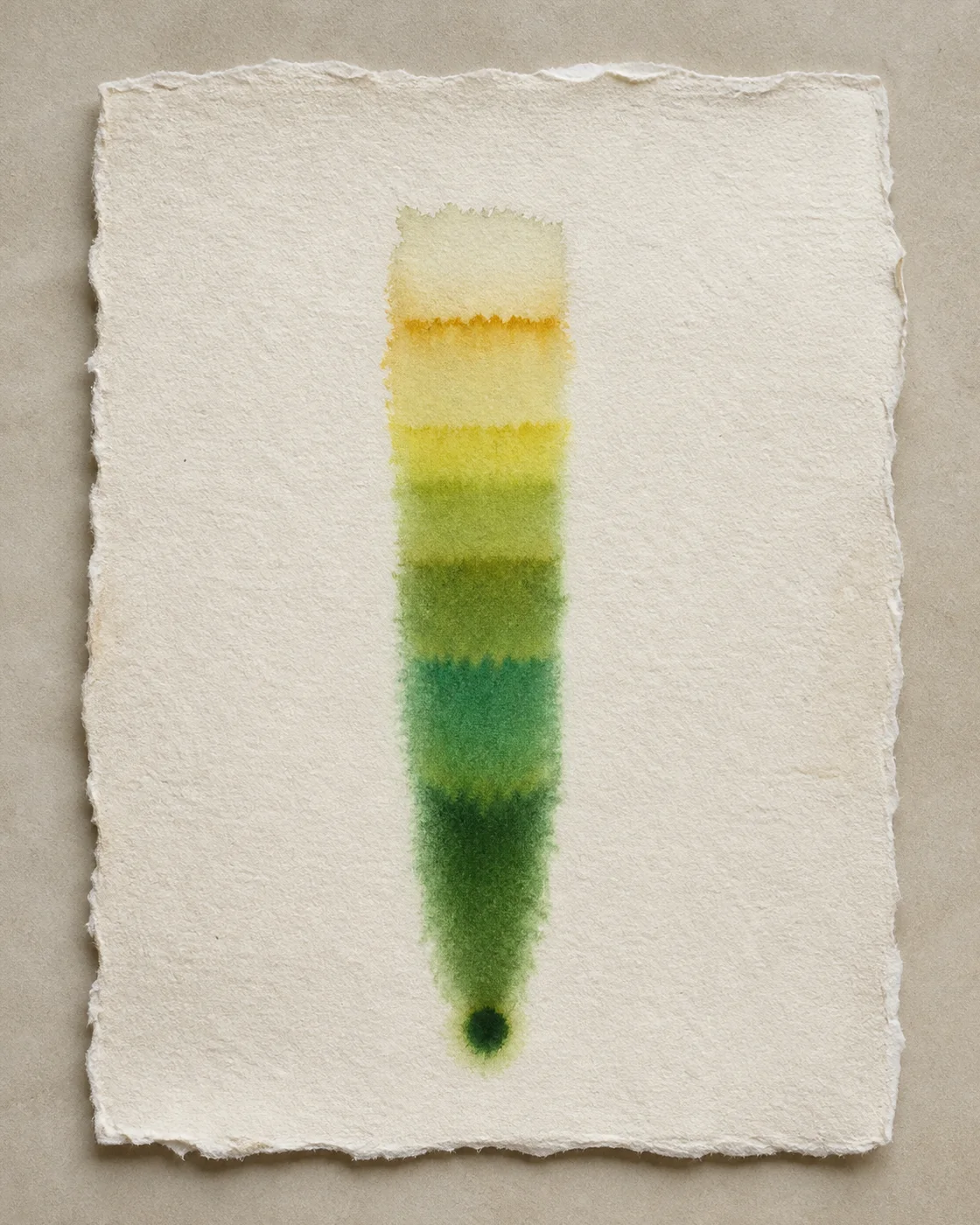 叶绿素纵向分离带 / Vertical Chlorophyll Separation Bands
