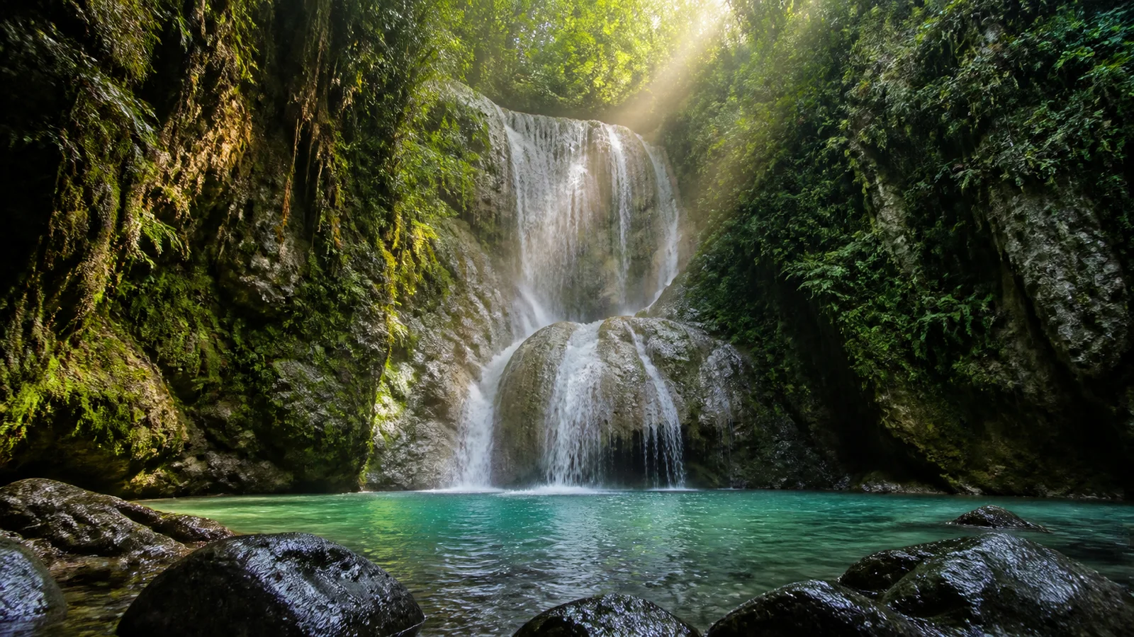 雨林飞瀑｜Rainforest Waterfall