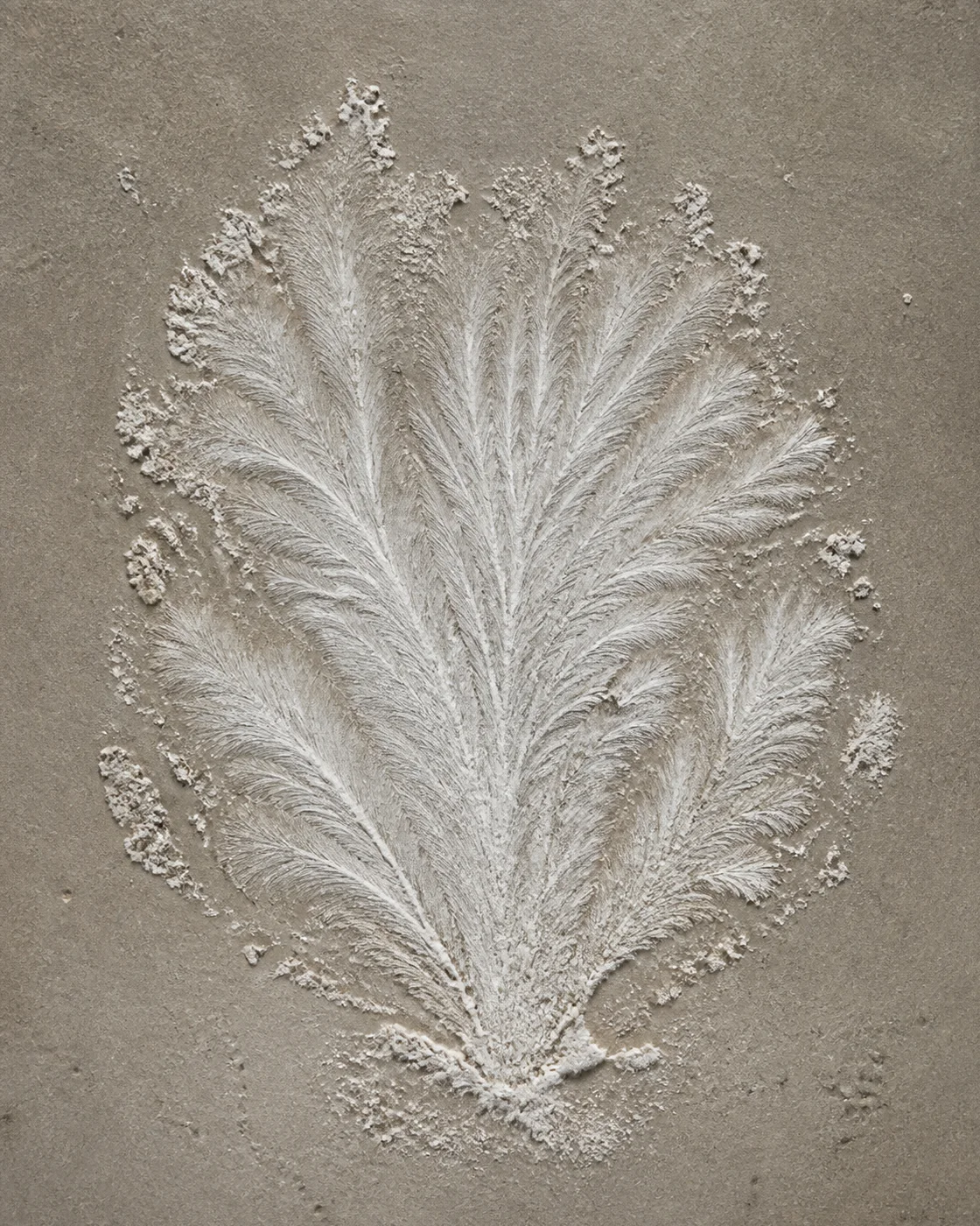 陶板盐花：羽毛状结晶绽放 / Ceramic Salt Bloom: Feather-Like Crystallization