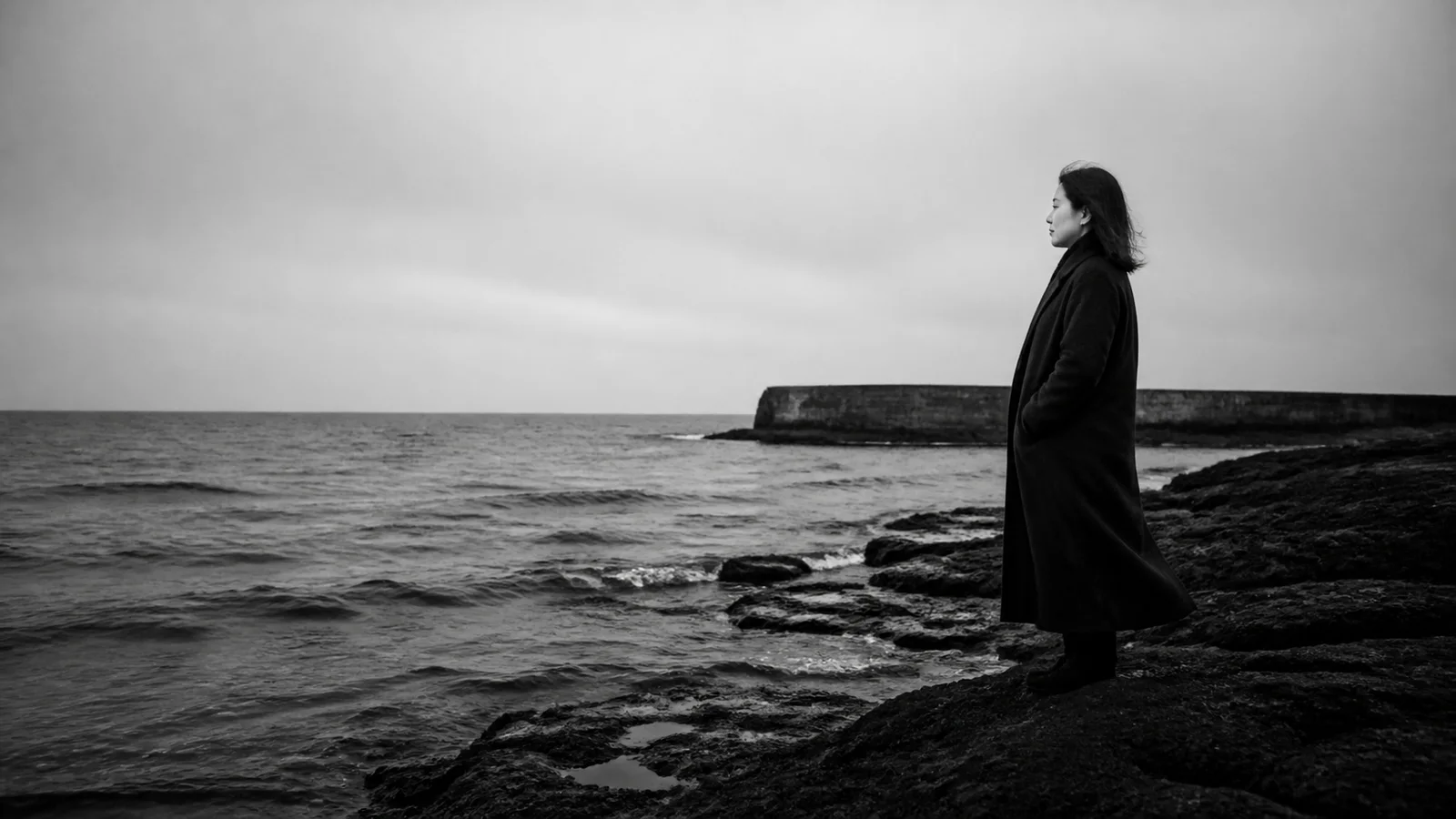 海岸侧影｜Coastal Profile Noir