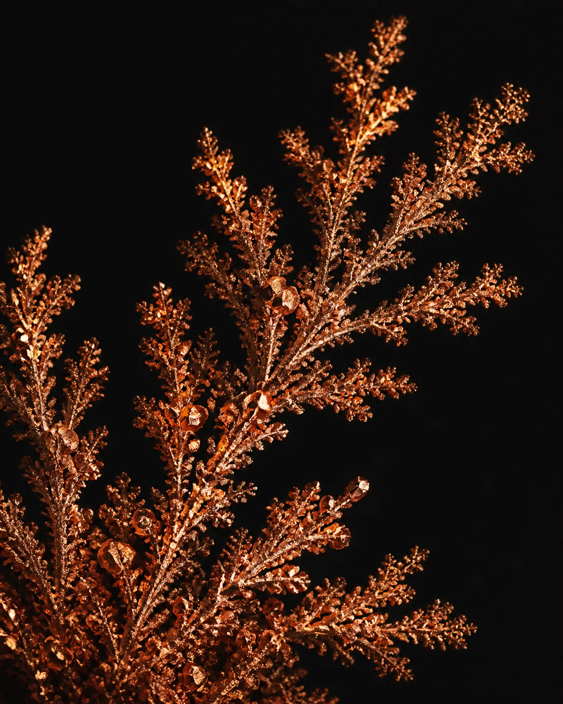 暖铜黑域：分枝晶簇艺术微距 / Warm Copper on Matte Black: Branching Crystal Art