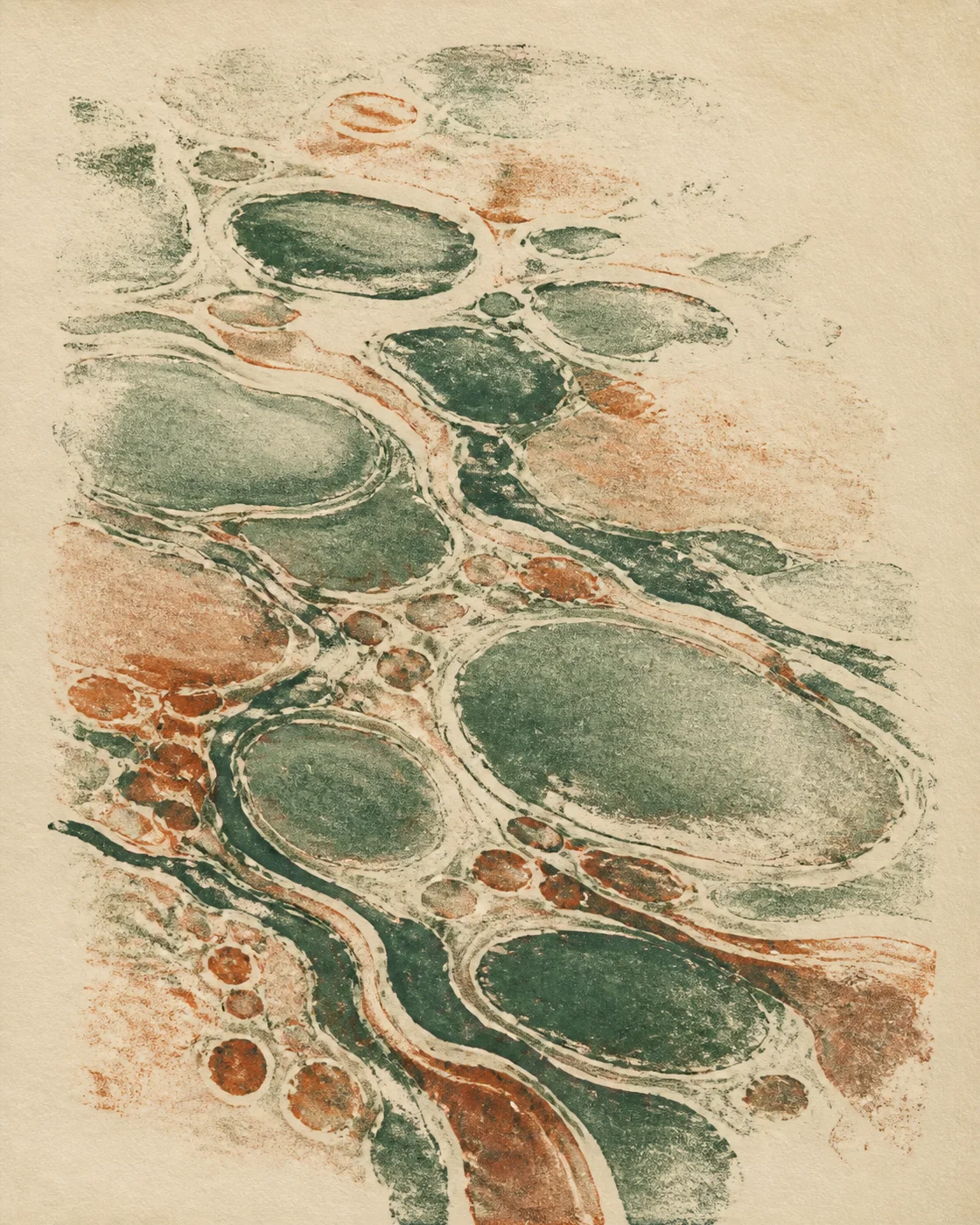 潮池余墨：海松绿铁锈红幽灵印 / Tidal-Pool Residue: Sea-Pine and Rust Ghost Print